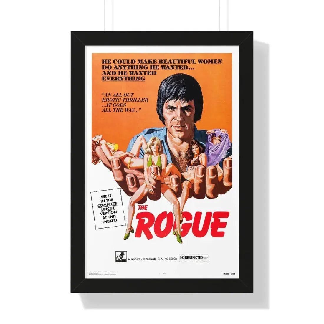 THE ROGUE 1971 - Framed Movie Poster 16″ x 24″ Black - The Sticker Space