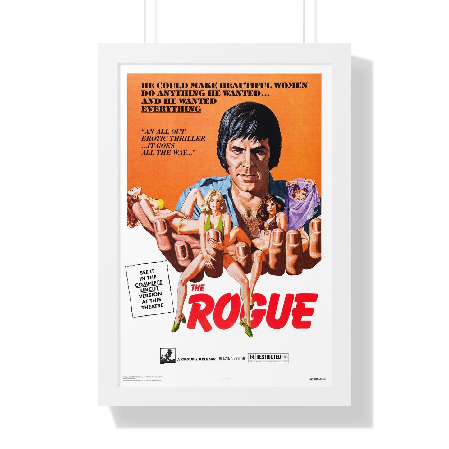 THE ROGUE 1971 - Framed Movie Poster-16″ x 24″-The Sticker Space