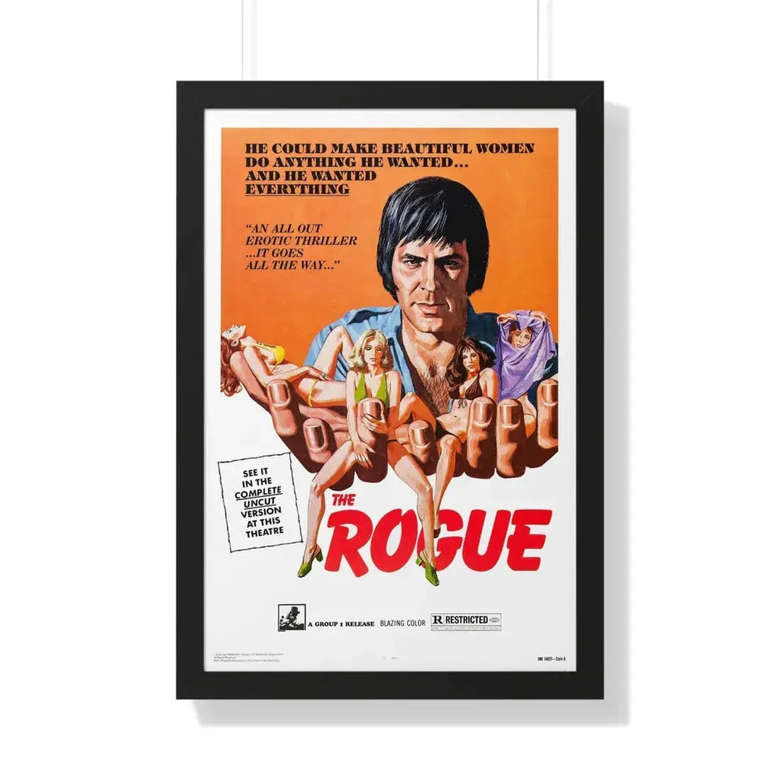 THE ROGUE 1971 - Framed Movie Poster 20" x 30" Black - The Sticker Space