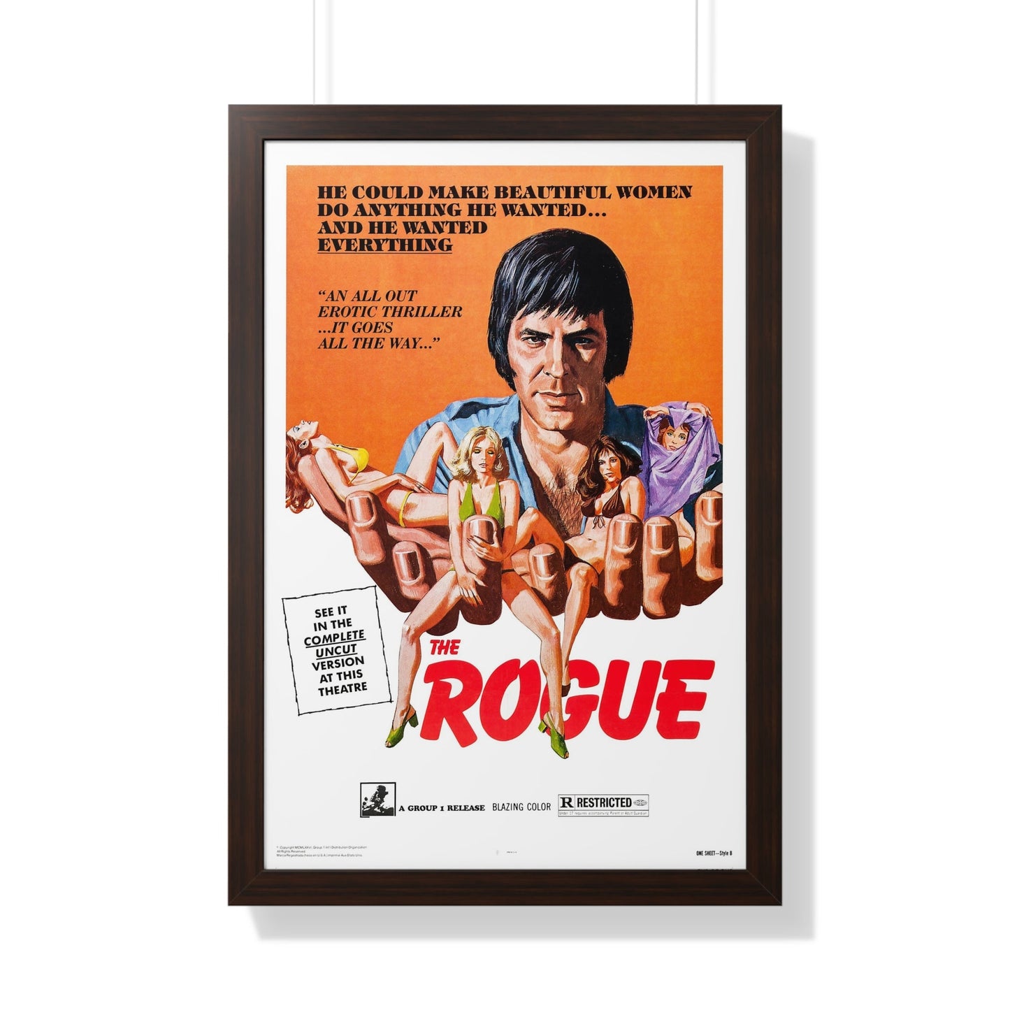 THE ROGUE 1971 - Framed Movie Poster-20" x 30"-The Sticker Space