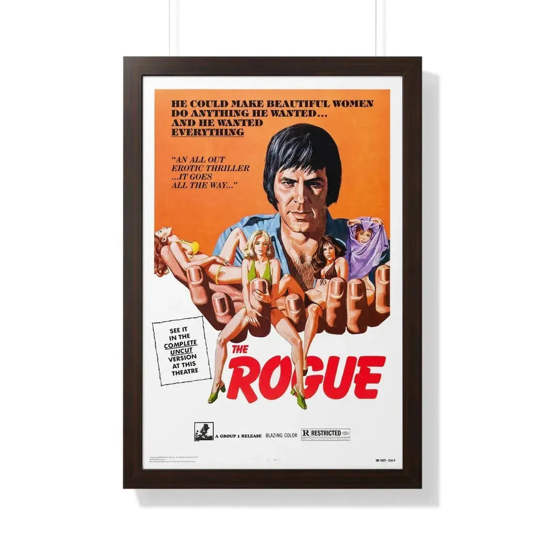 THE ROGUE 1971 - Framed Movie Poster 20" x 30" Walnut - The Sticker Space