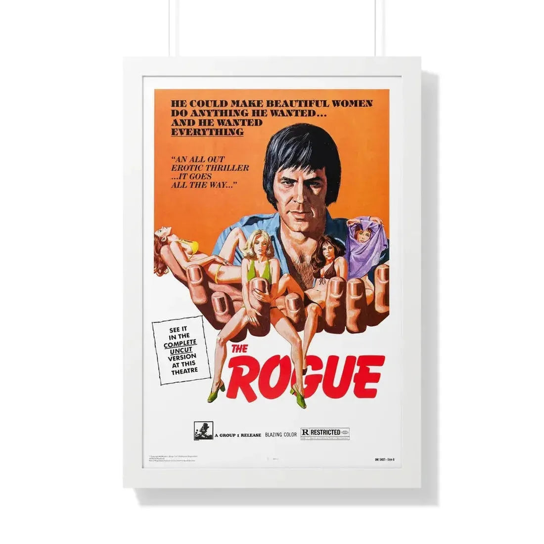 THE ROGUE 1971 - Framed Movie Poster 20" x 30" White - The Sticker Space