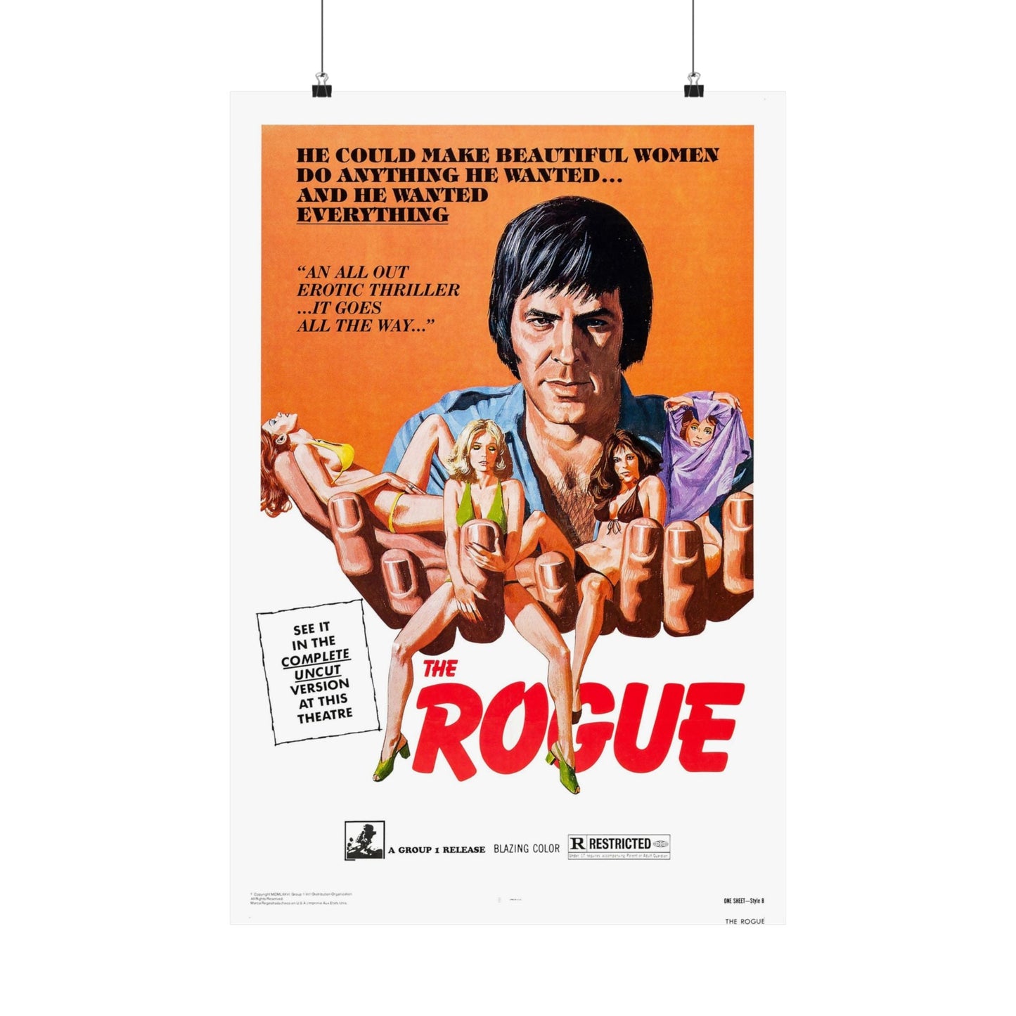 THE ROGUE 1971 - Paper Movie Poster-20″ x 30″-The Sticker Space