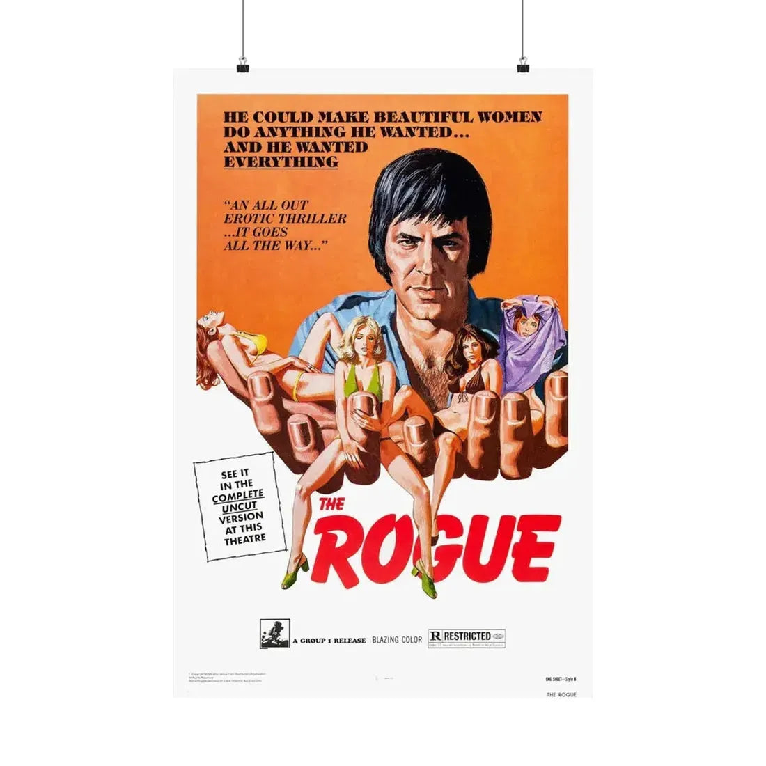 THE ROGUE 1971 - Paper Movie Poster 24″ x 36″ Matte - The Sticker Space