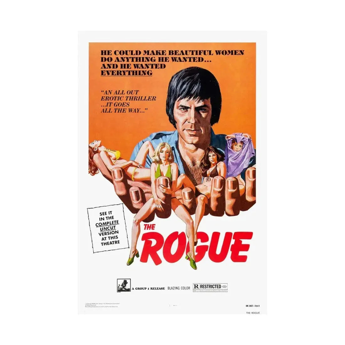THE ROGUE 1971 - Paper Movie Poster - The Sticker Space