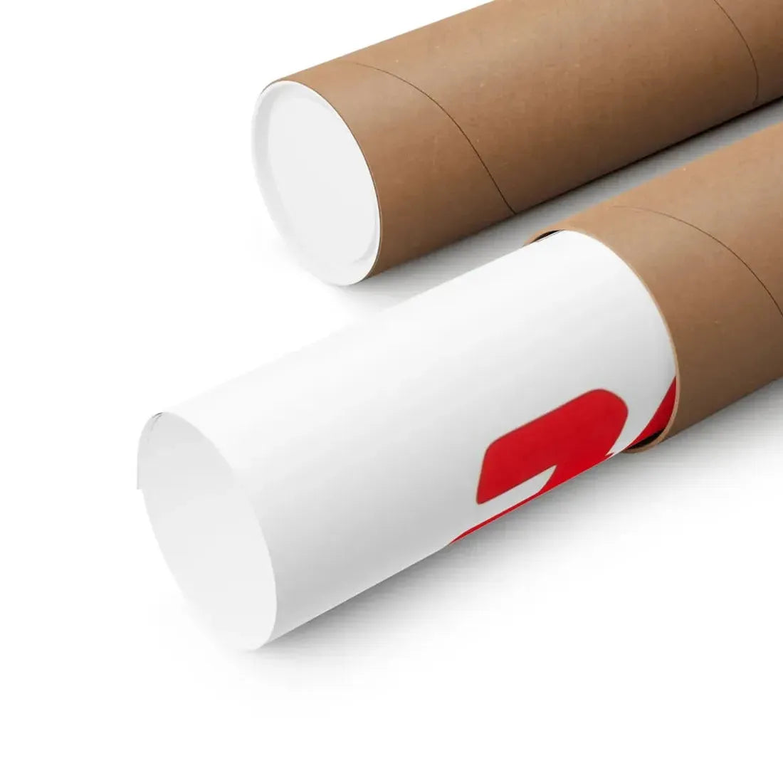 THE ROGUE 1971 - Paper Movie Poster - The Sticker Space