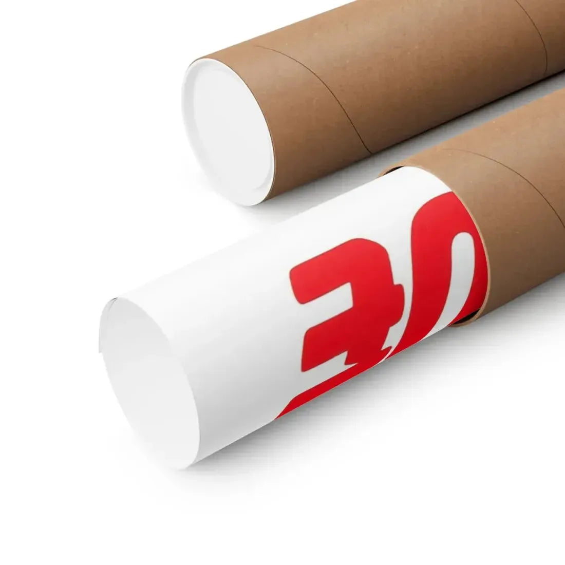 THE ROGUE 1971 - Paper Movie Poster - The Sticker Space