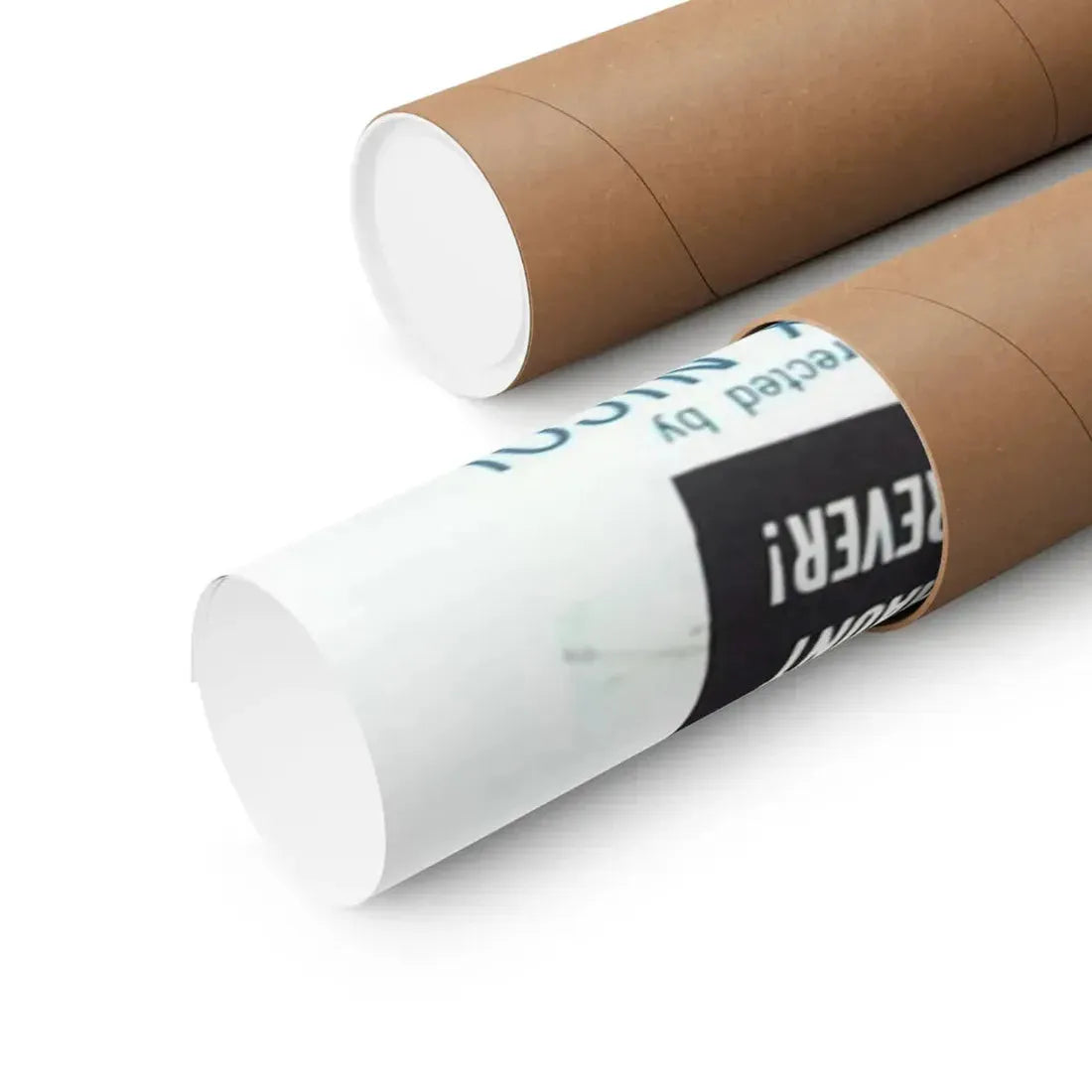 THE SCREAMING SKULL 1958 - Paper Movie Poster - The Sticker Space