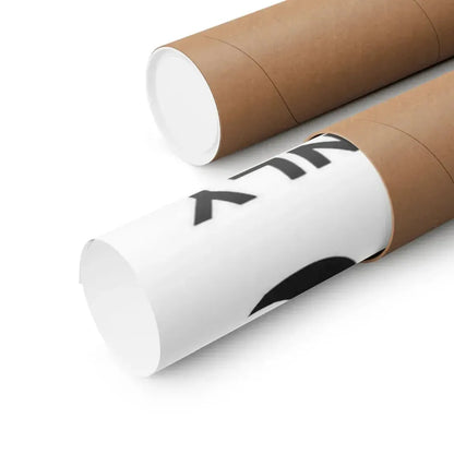 THE SENSUALIST 1966 - Paper Movie Poster - The Sticker Space