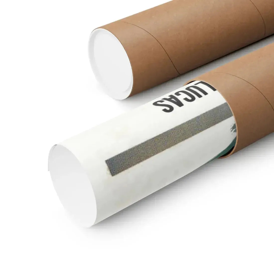 THE SHADOW OF THE CAT 1961 - Paper Movie Poster - The Sticker Space