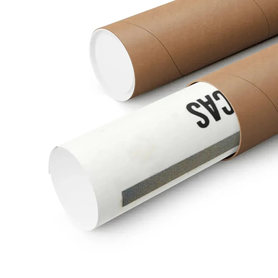 THE SHADOW OF THE CAT 1961 - Paper Movie Poster - The Sticker Space