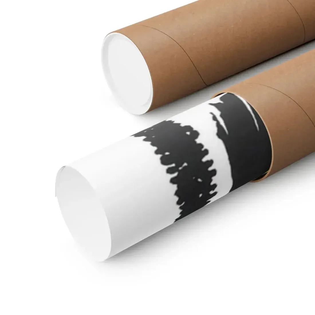 THE SHE BEAST + THE EMBALMER 1966 - Paper Movie Poster - The Sticker Space