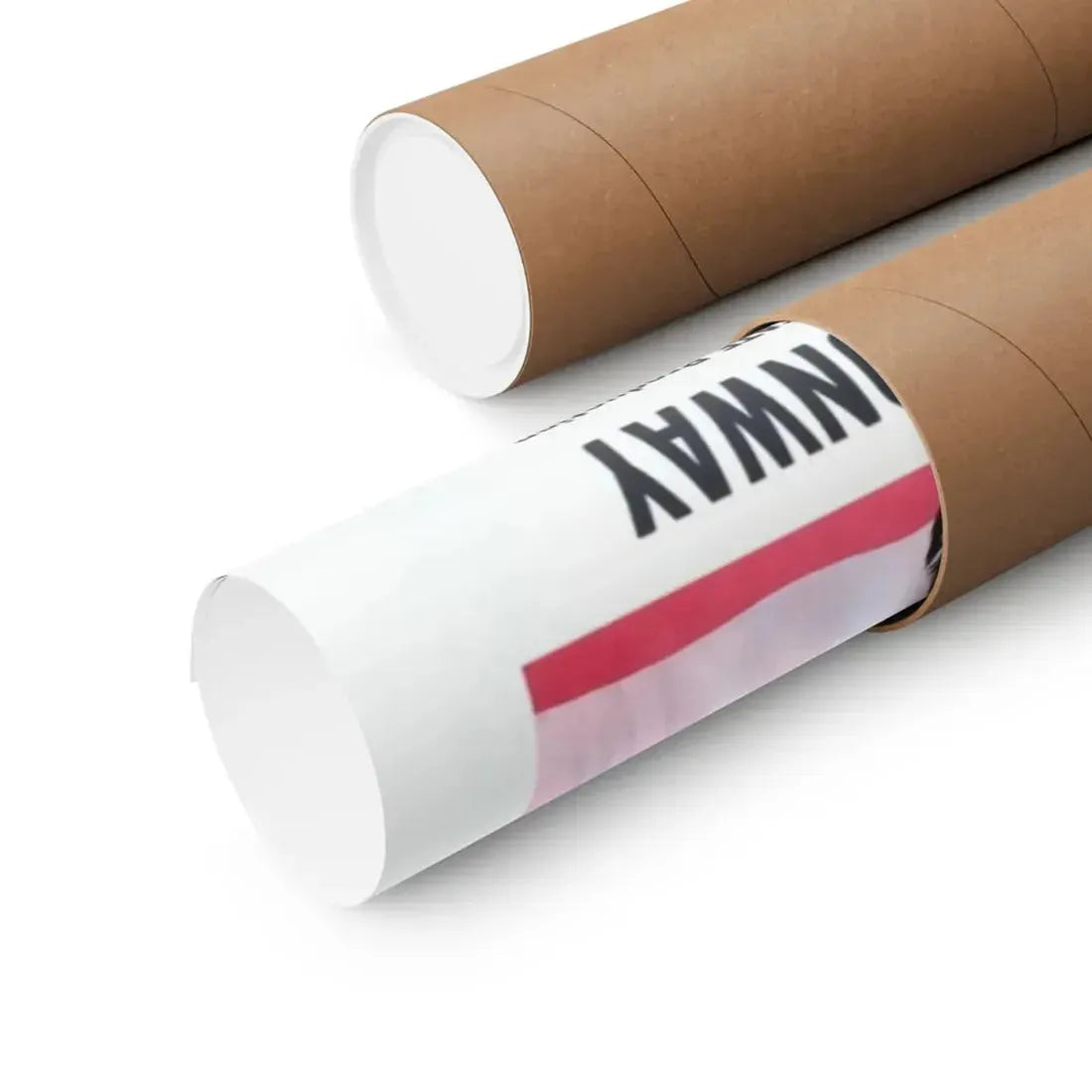 THE SHE-CREATURE 1956 - Paper Movie Poster - The Sticker Space