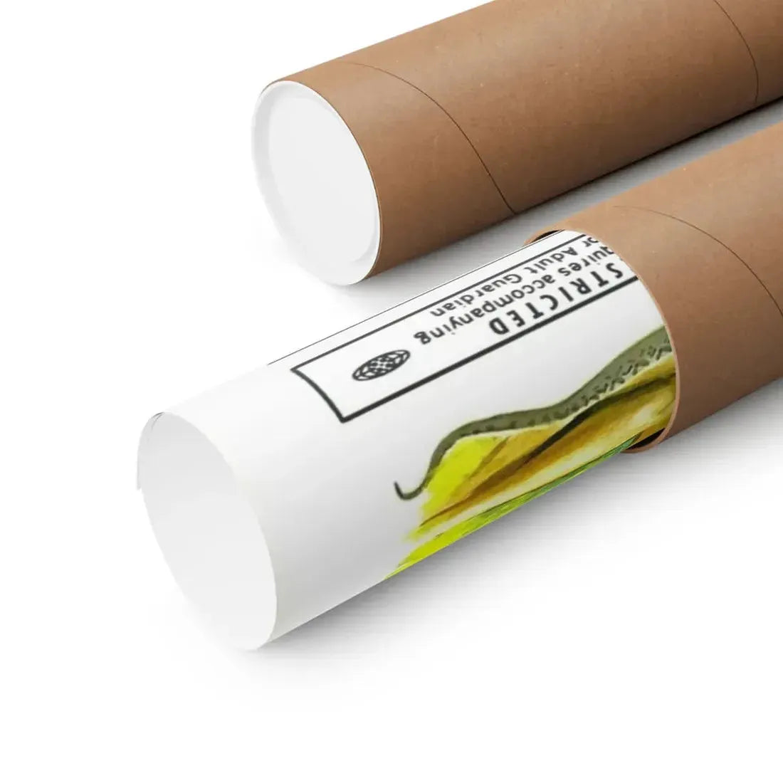 THE SIN OF ADAM AND EVE 1969 - Paper Movie Poster - The Sticker Space