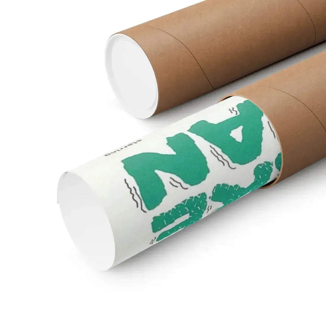 THE SNAKE WOMAN 1961 - Paper Movie Poster - The Sticker Space