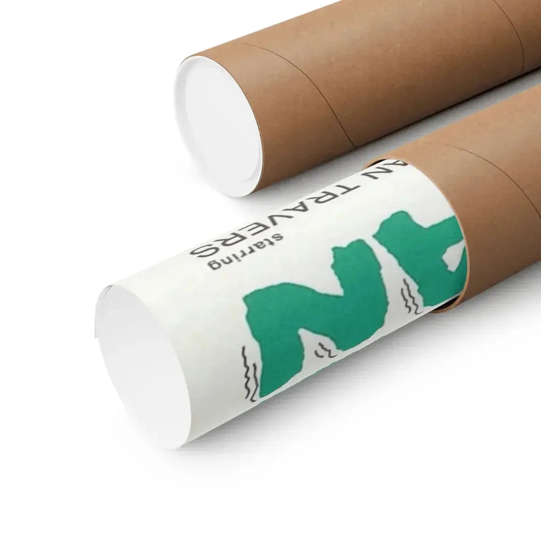 THE SNAKE WOMAN 1961 - Paper Movie Poster - The Sticker Space