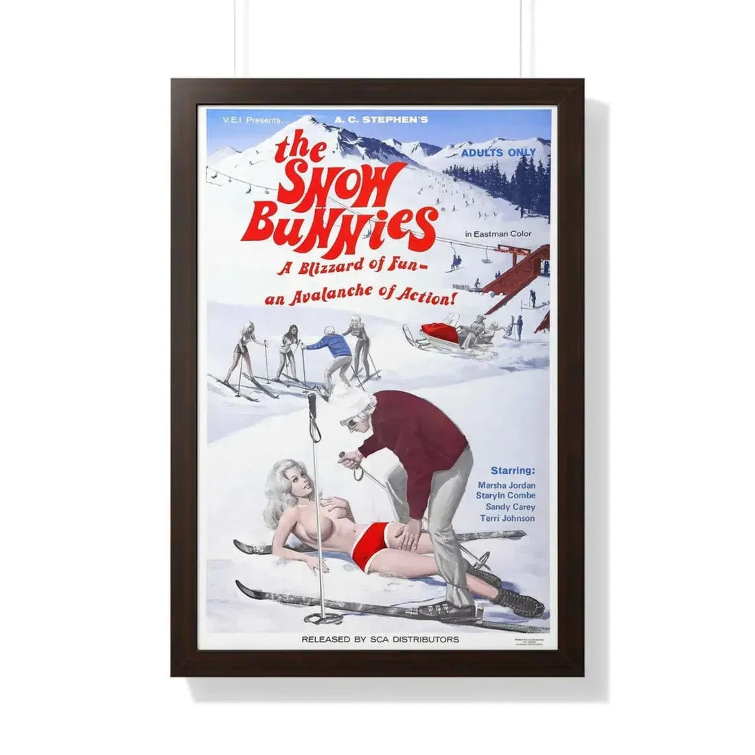 THE SNOW BUNNIES 1972 - Framed Movie Poster 20" x 30" Walnut - The Sticker Space