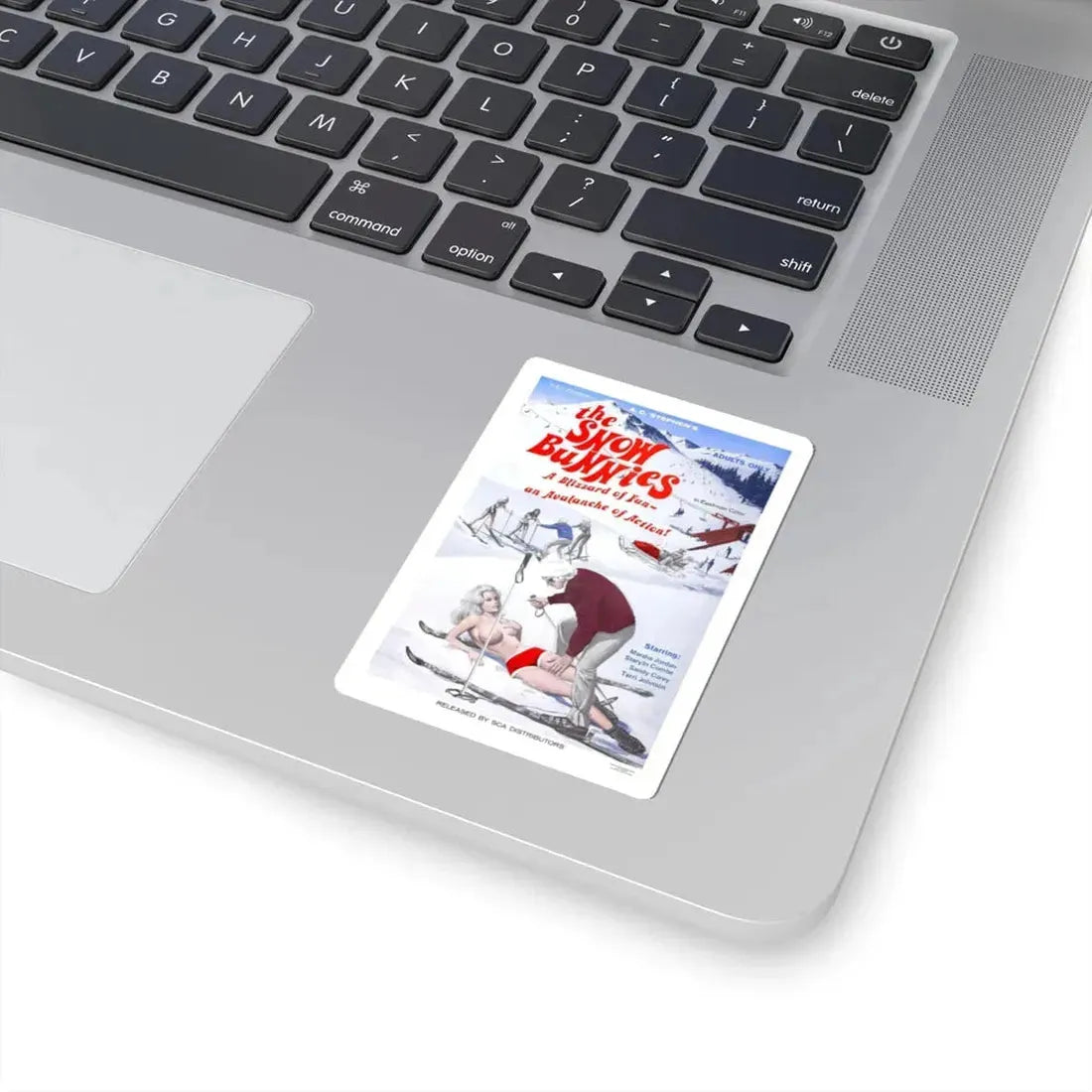 THE SNOW BUNNIES 1972 Movie Poster - STICKER Vinyl Kiss-Cut Decal - The Sticker Space