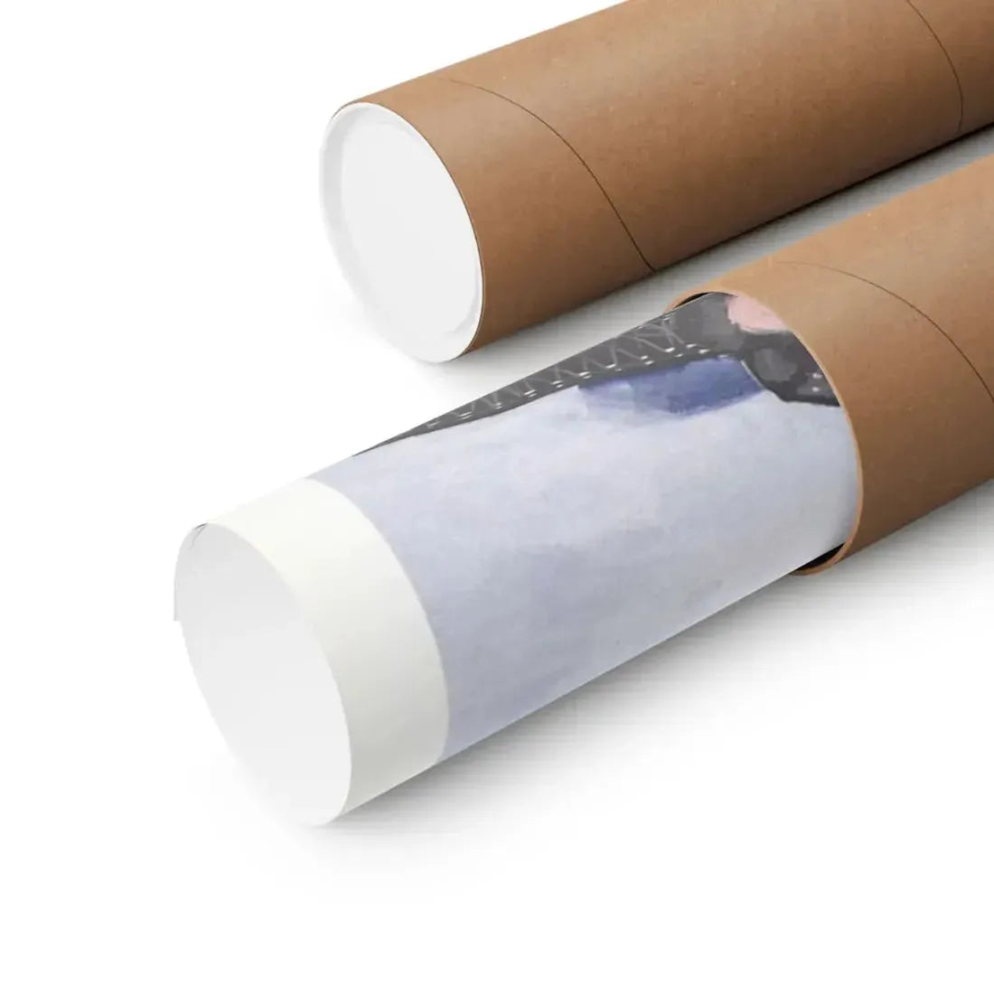 THE SNOW BUNNIES 1972 - Paper Movie Poster - The Sticker Space