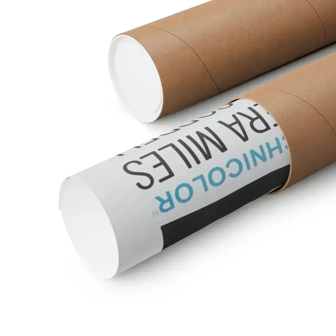 THE SPIRIT IS WILLING 1967 - Paper Movie Poster - The Sticker Space