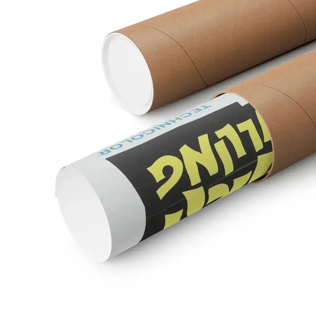 THE SPIRIT IS WILLING 1967 - Paper Movie Poster - The Sticker Space