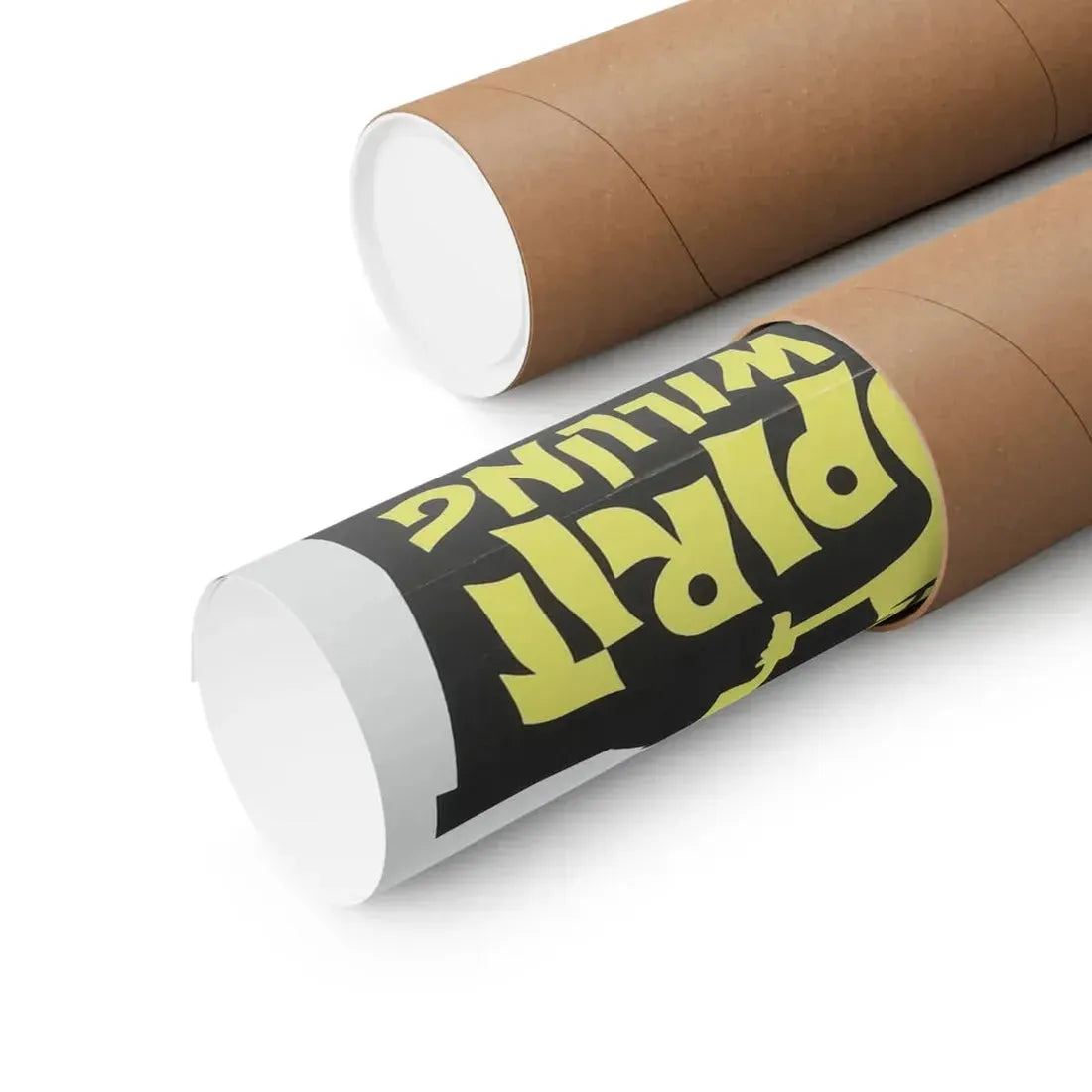 THE SPIRIT IS WILLING 1967 - Paper Movie Poster - The Sticker Space