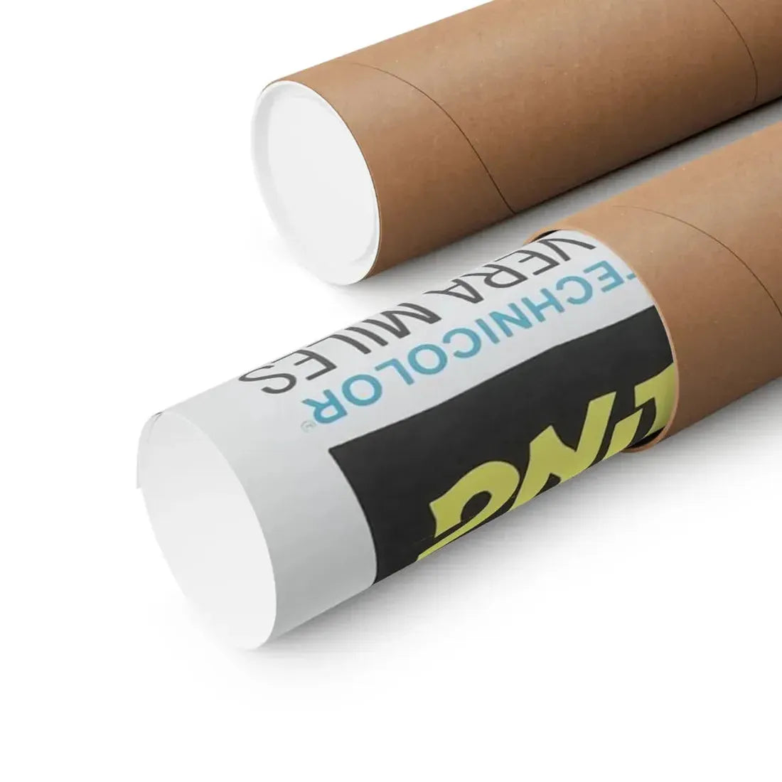 THE SPIRIT IS WILLING 1967 - Paper Movie Poster - The Sticker Space