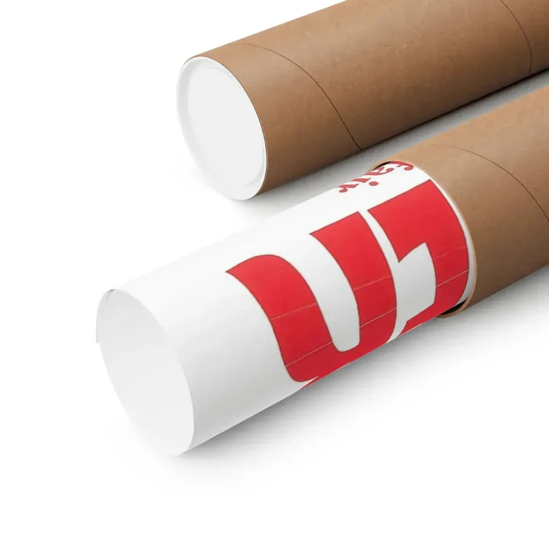 THE STEPMOTHER 1972 - Paper Movie Poster - The Sticker Space