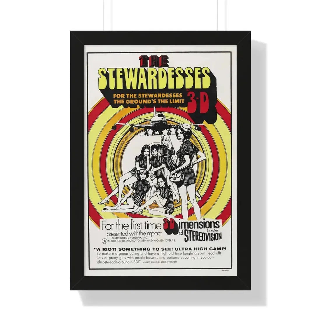 THE STEWARDESSES (IN 3-D) 1969 - Framed Movie Poster 16″ x 24″ Black - The Sticker Space