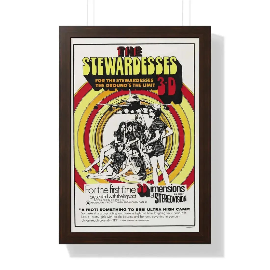 THE STEWARDESSES (IN 3-D) 1969 - Framed Movie Poster 16″ x 24″ Walnut - The Sticker Space