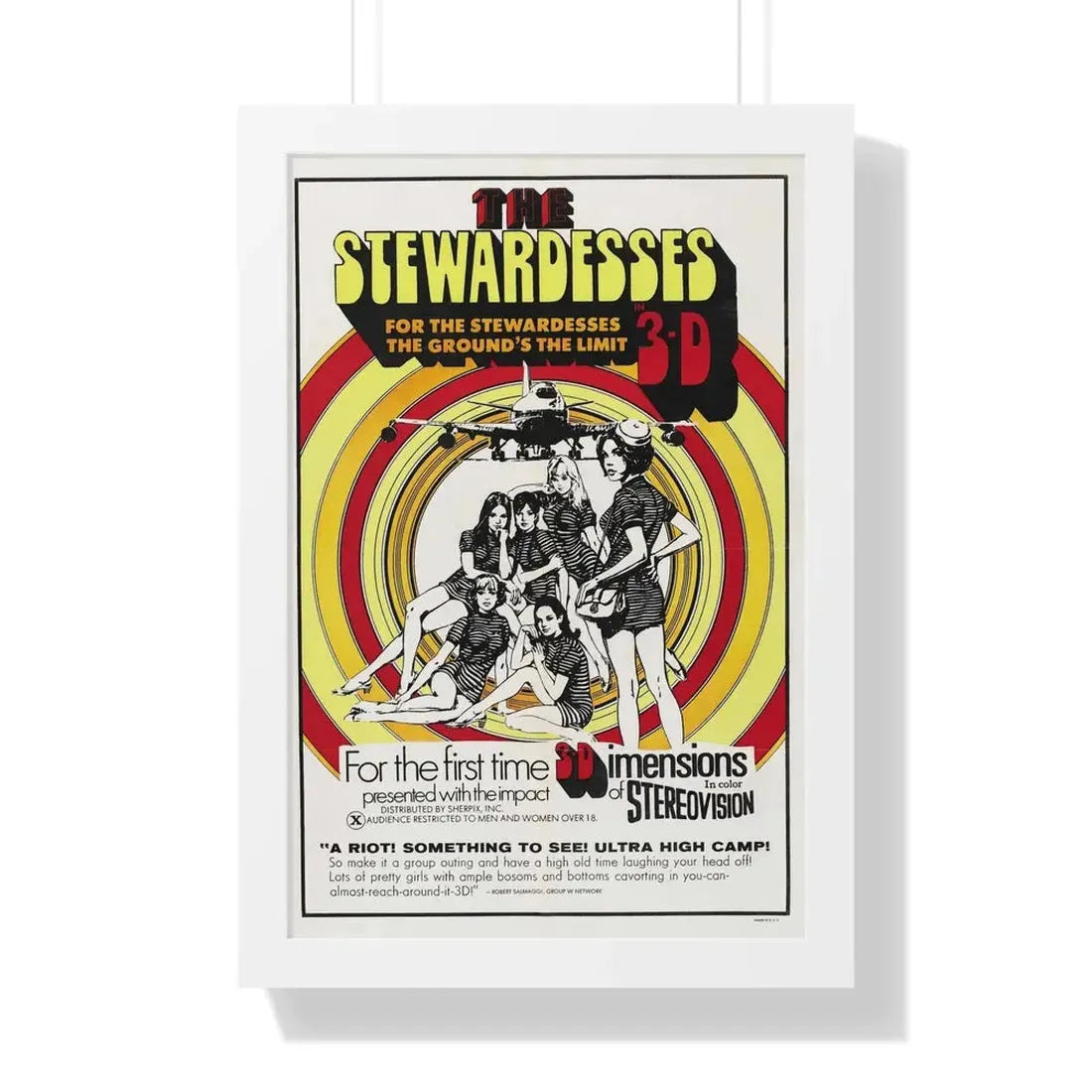 THE STEWARDESSES (IN 3-D) 1969 - Framed Movie Poster 16″ x 24″ White - The Sticker Space
