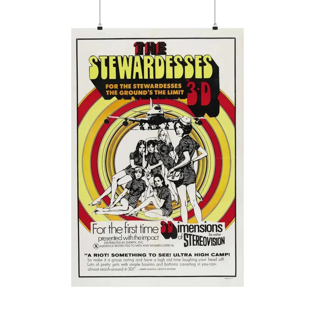 THE STEWARDESSES (IN 3-D) 1969 - Paper Movie Poster 24″ x 36″ Matte - The Sticker Space