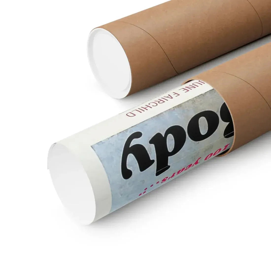 THE STUDENT BODY 1976 - Paper Movie Poster - The Sticker Space