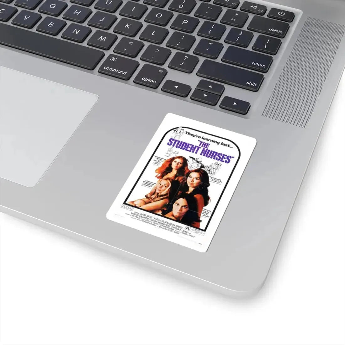 THE STUDENT NURSES 1970 Movie Poster - STICKER Vinyl Kiss-Cut Decal - The Sticker Space