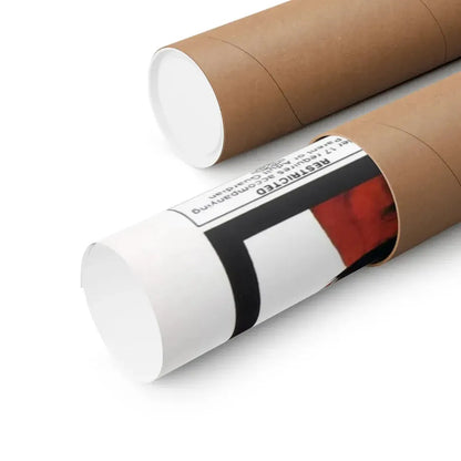 THE STUDENT NURSES 1970 - Paper Movie Poster - The Sticker Space