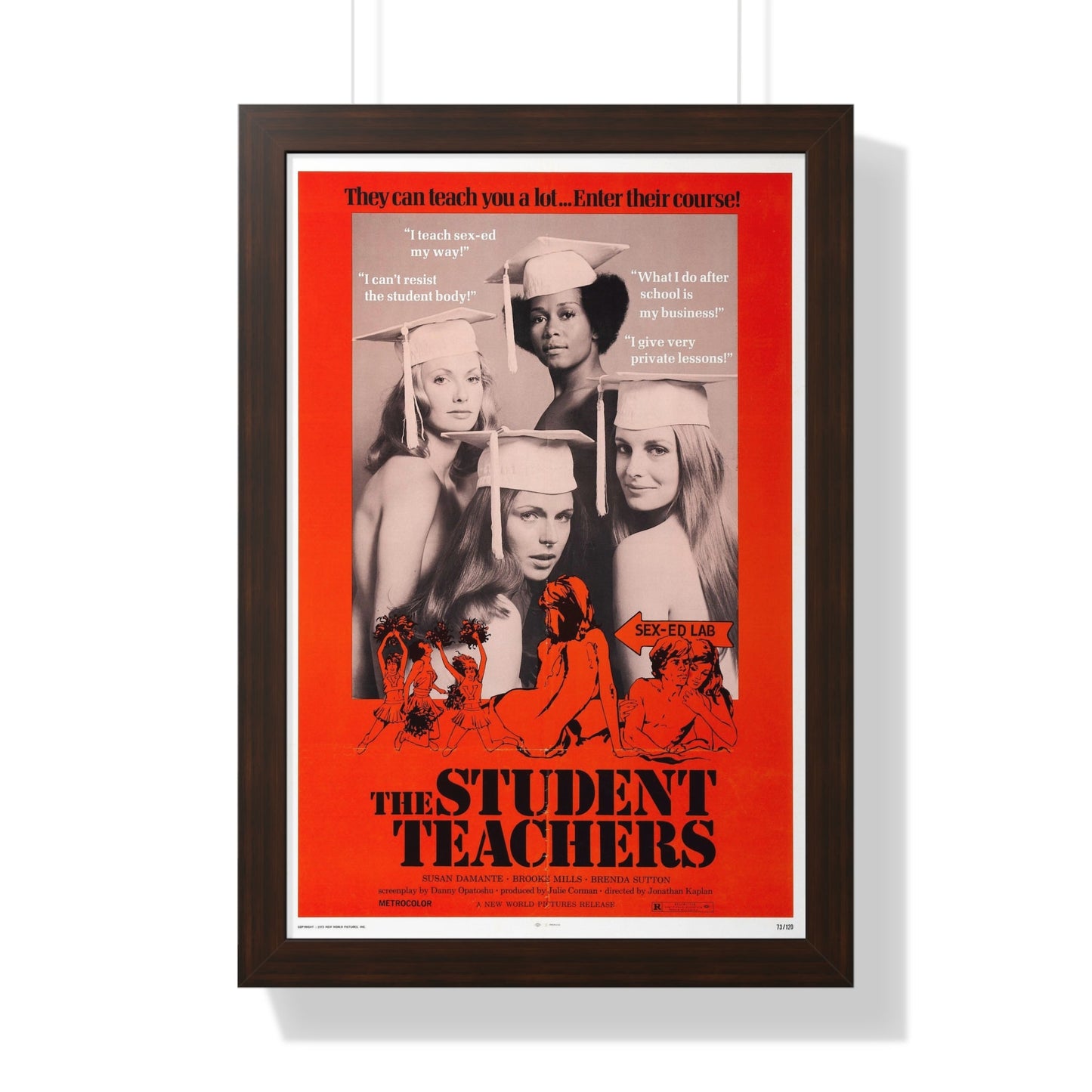 THE STUDENT TEACHERS 1973 - Framed Movie Poster-16″ x 24″-The Sticker Space