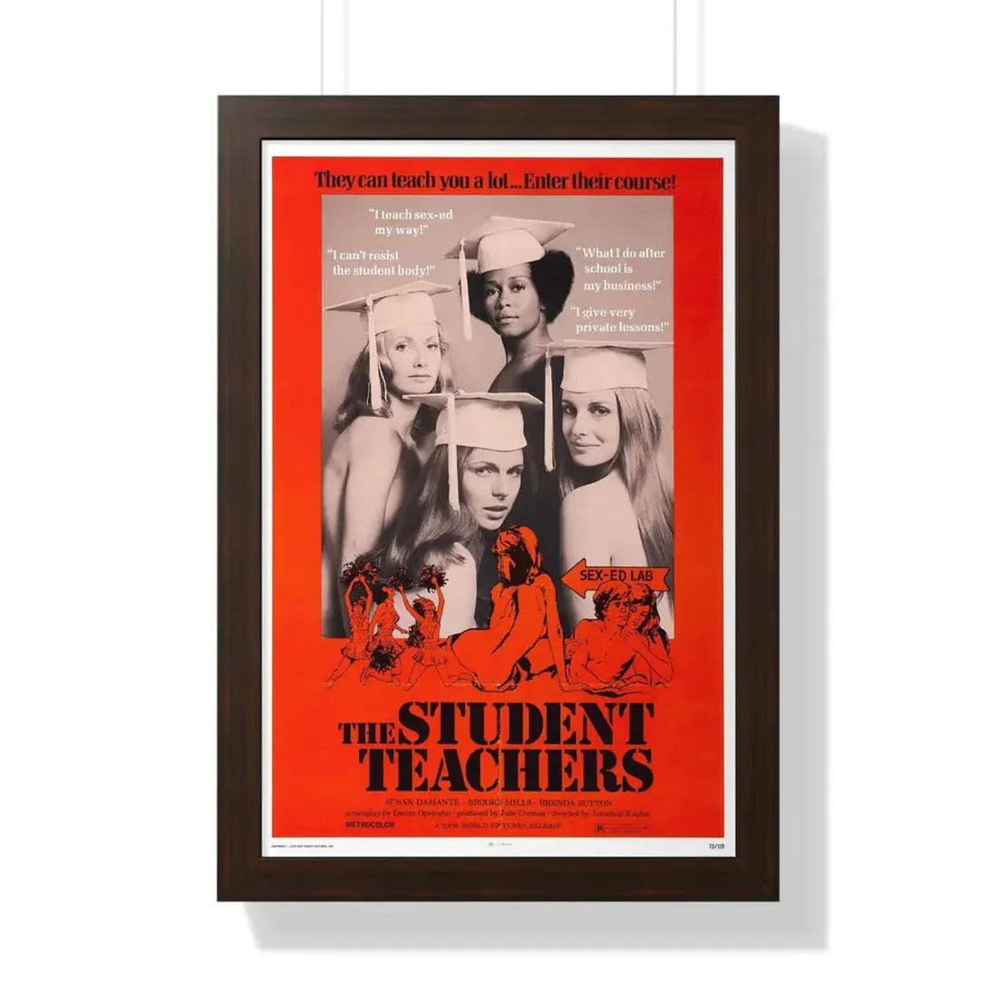 THE STUDENT TEACHERS 1973 - Framed Movie Poster 16″ x 24″ Walnut - The Sticker Space