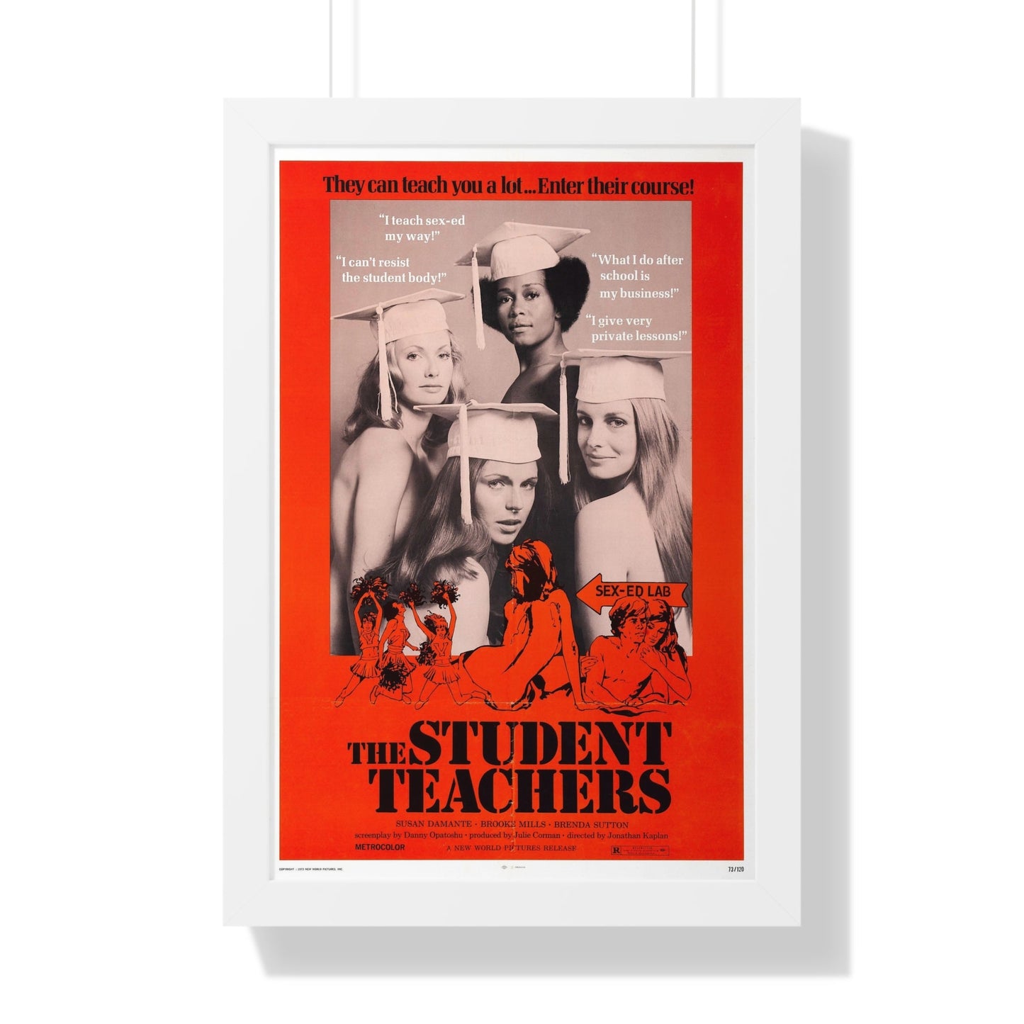 THE STUDENT TEACHERS 1973 - Framed Movie Poster-16″ x 24″-The Sticker Space