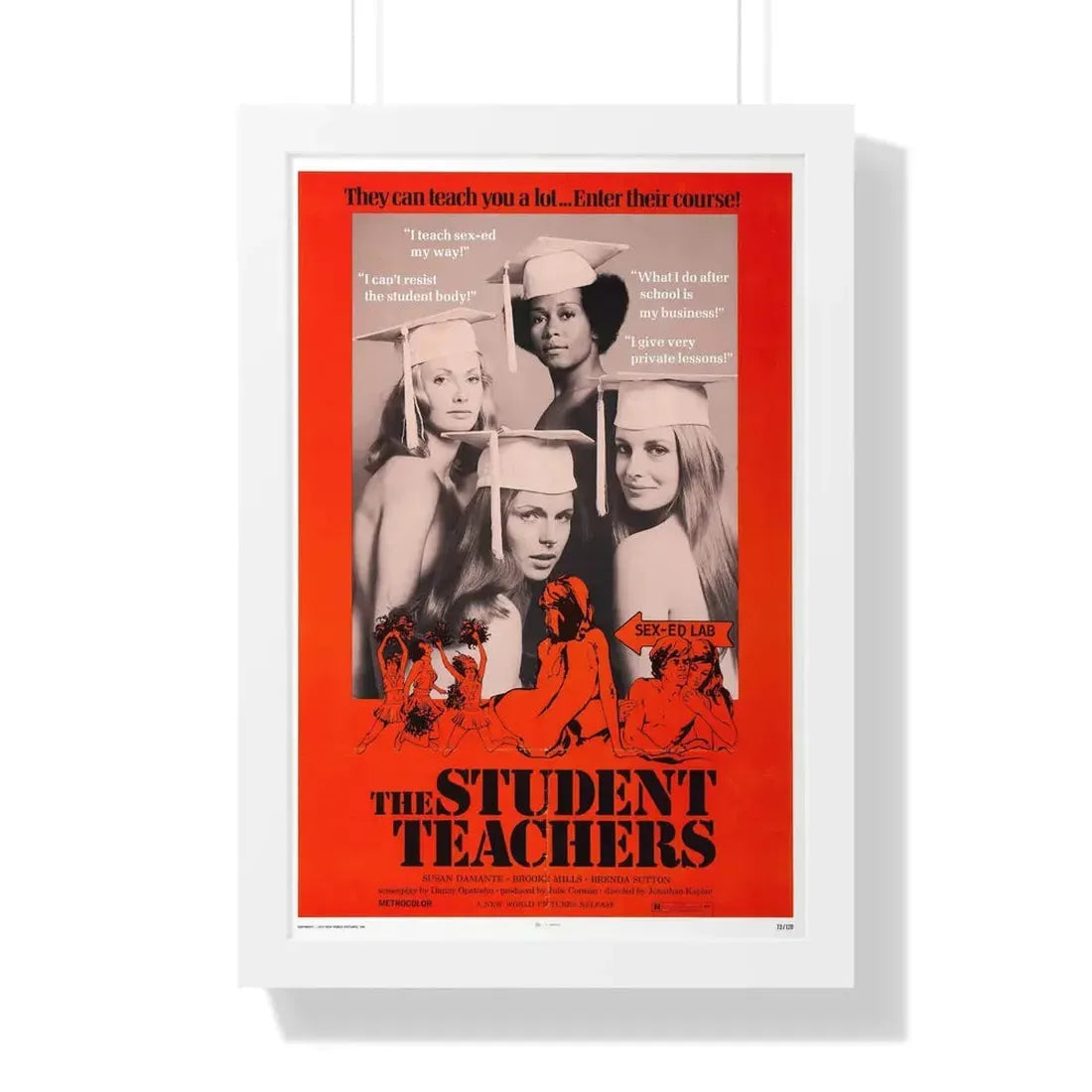 THE STUDENT TEACHERS 1973 - Framed Movie Poster 16″ x 24″ White - The Sticker Space