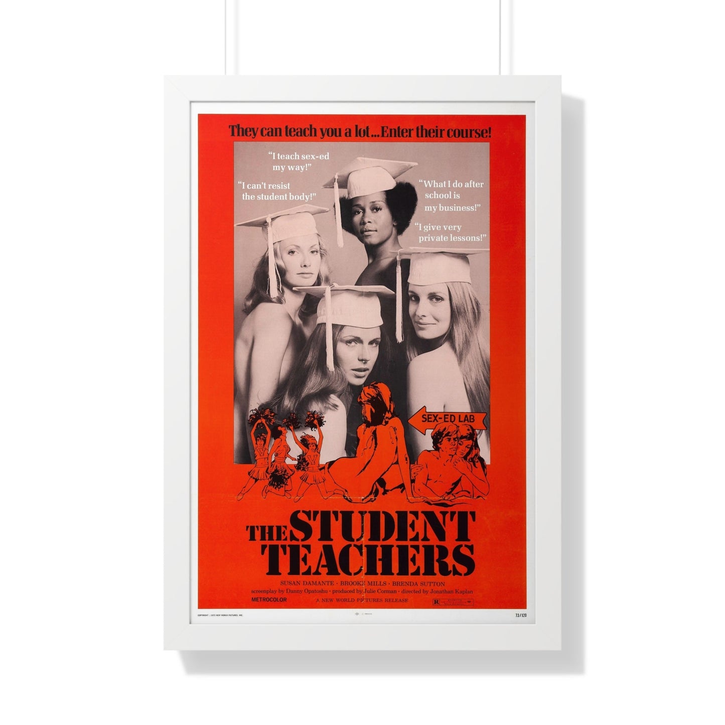 THE STUDENT TEACHERS 1973 - Framed Movie Poster-20" x 30"-The Sticker Space