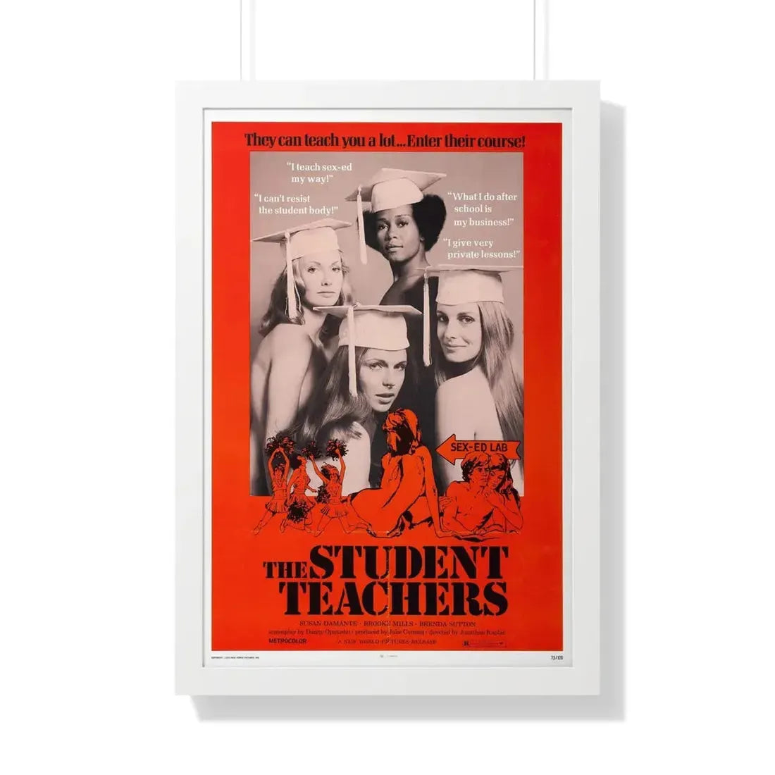 THE STUDENT TEACHERS 1973 - Framed Movie Poster 20" x 30" White - The Sticker Space