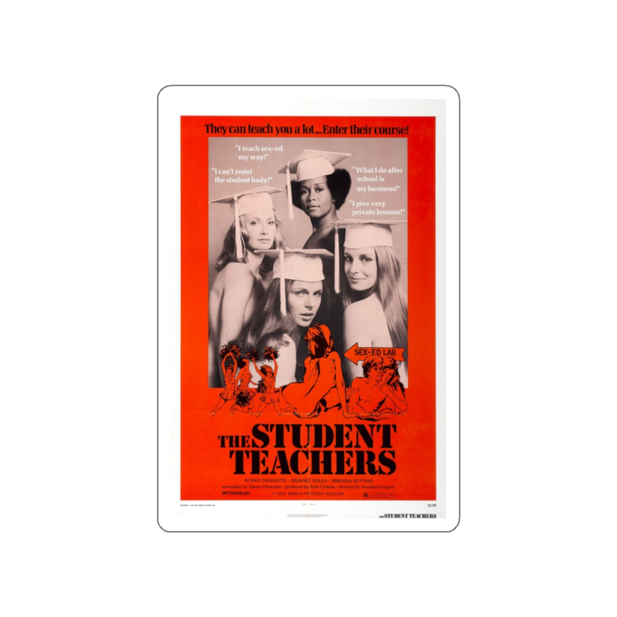 THE STUDENT TEACHERS 1973 Movie Poster STICKER Vinyl Die-Cut Decal-White-The Sticker Space