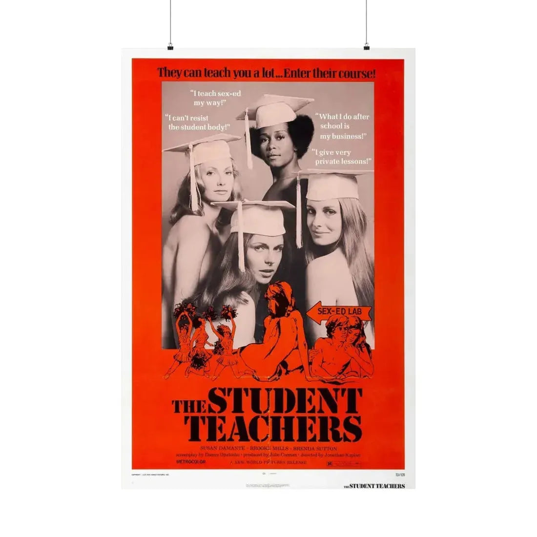 THE STUDENT TEACHERS 1973 - Paper Movie Poster 36" x 54" Matte - The Sticker Space