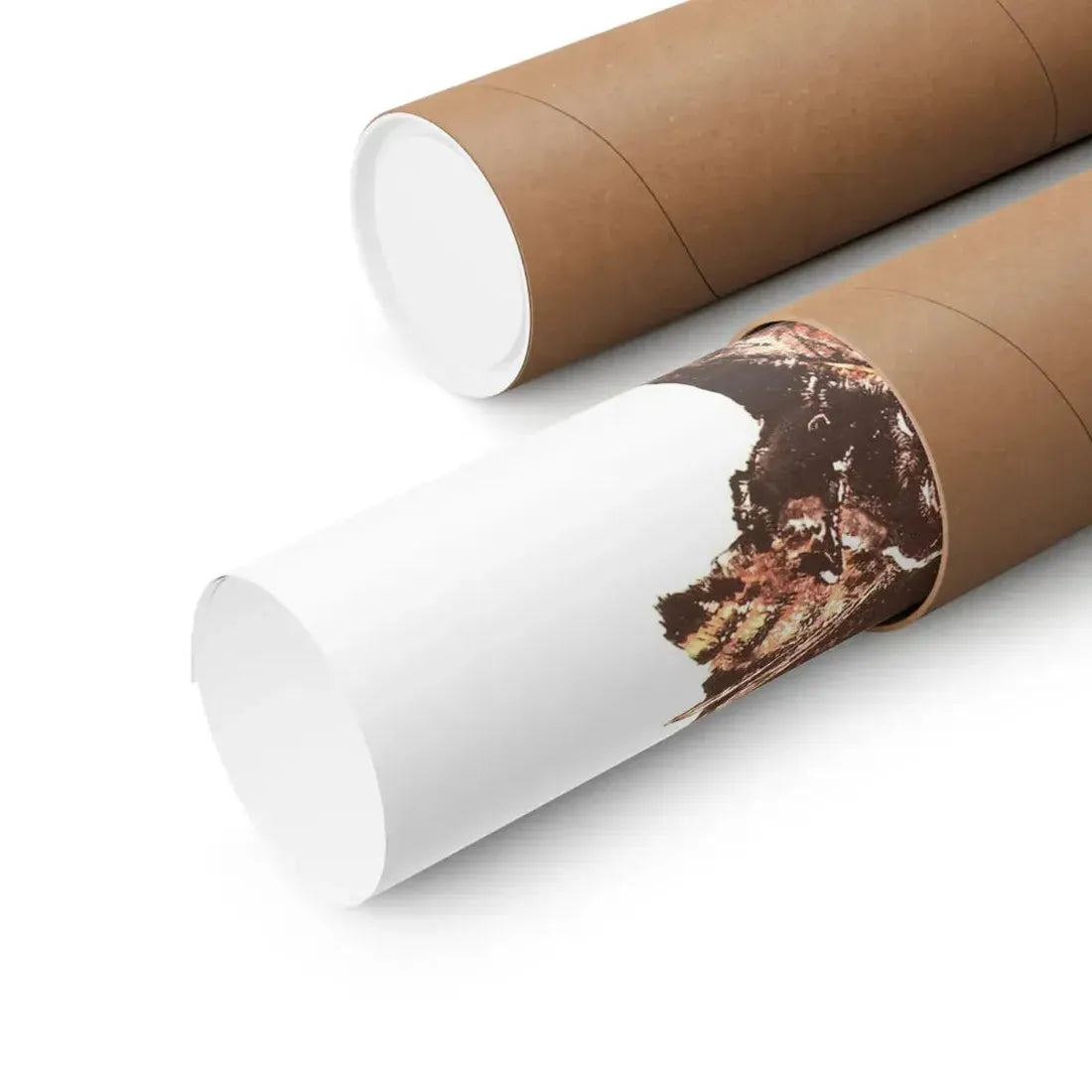 THE SWARM (POLISH) 1978 - Paper Movie Poster - The Sticker Space