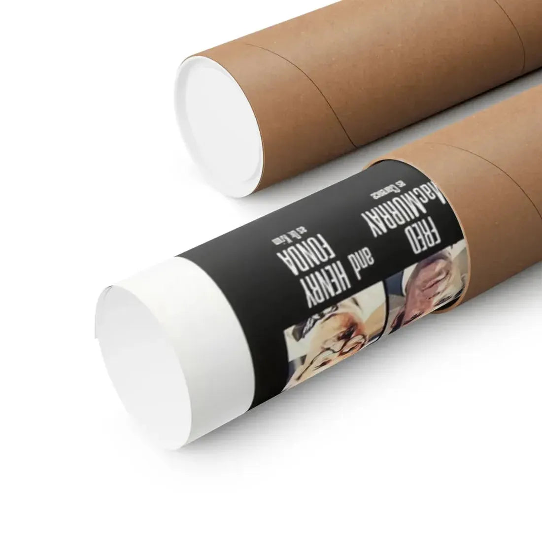 THE SWARM (TEASER) 1978 - Paper Movie Poster - The Sticker Space