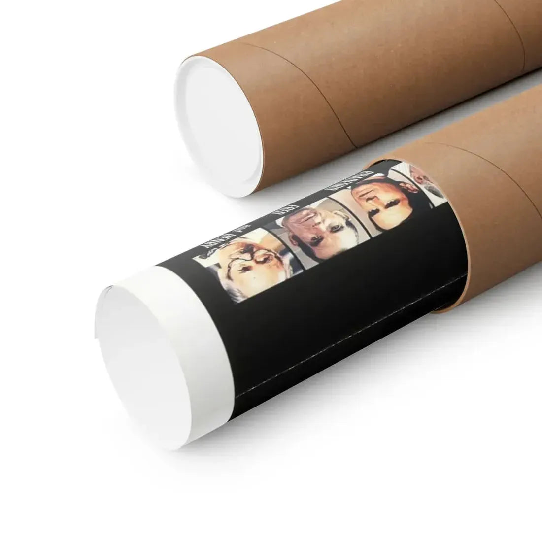 THE SWARM (TEASER) 1978 - Paper Movie Poster - The Sticker Space