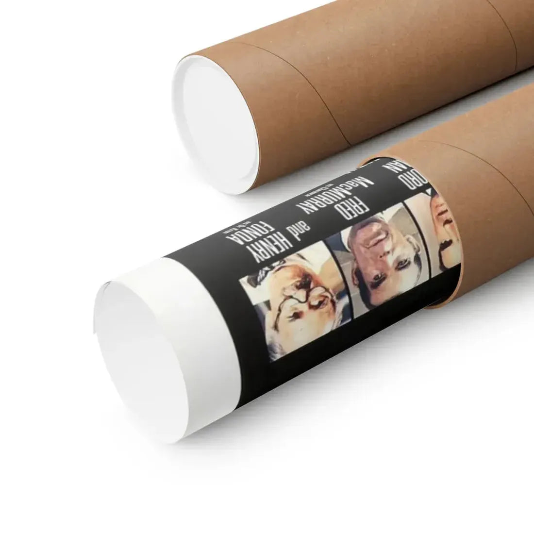 THE SWARM (TEASER) 1978 - Paper Movie Poster - The Sticker Space