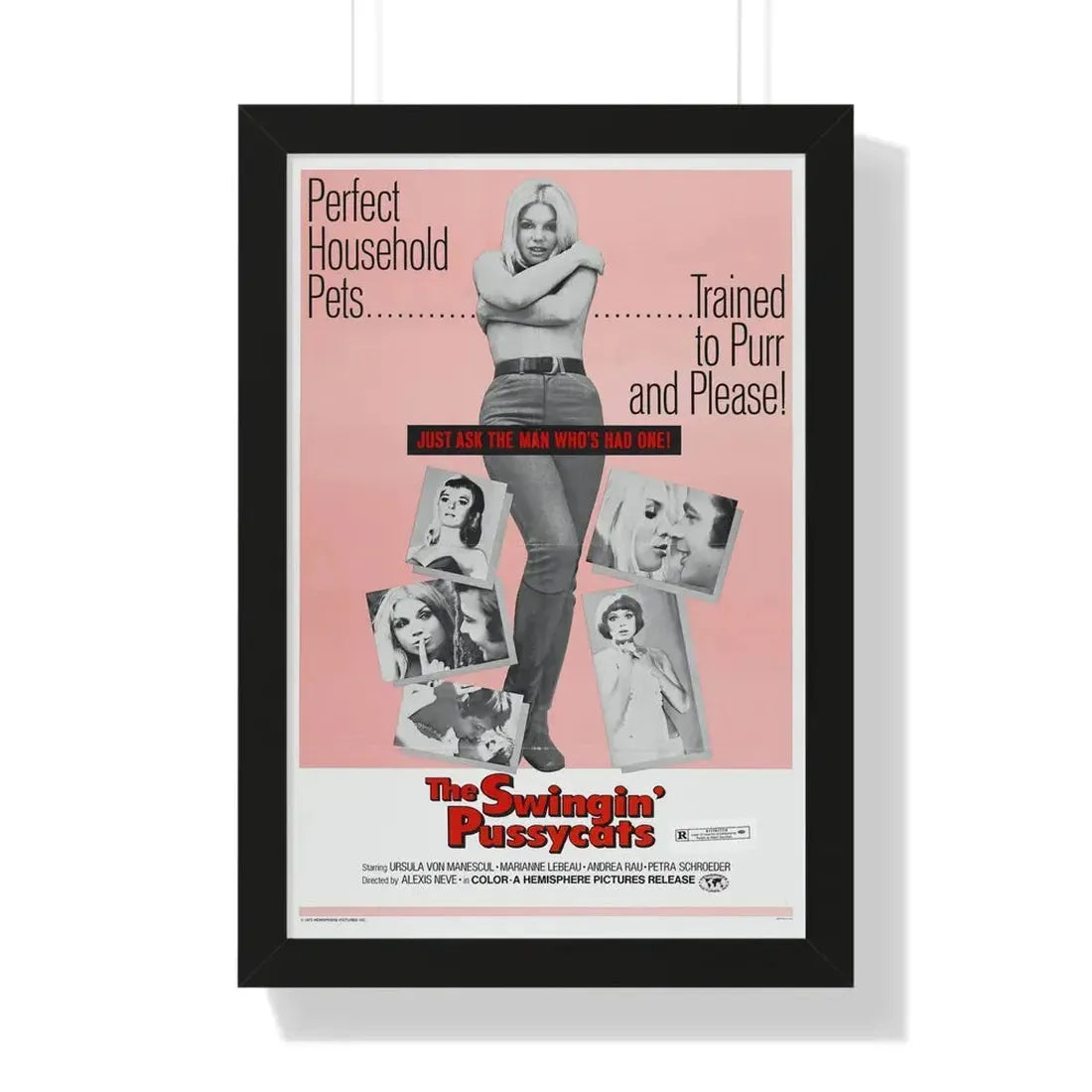 THE SWINGIN' PUSSYCATS 1969 - Framed Movie Poster 16″ x 24″ Black - The Sticker Space