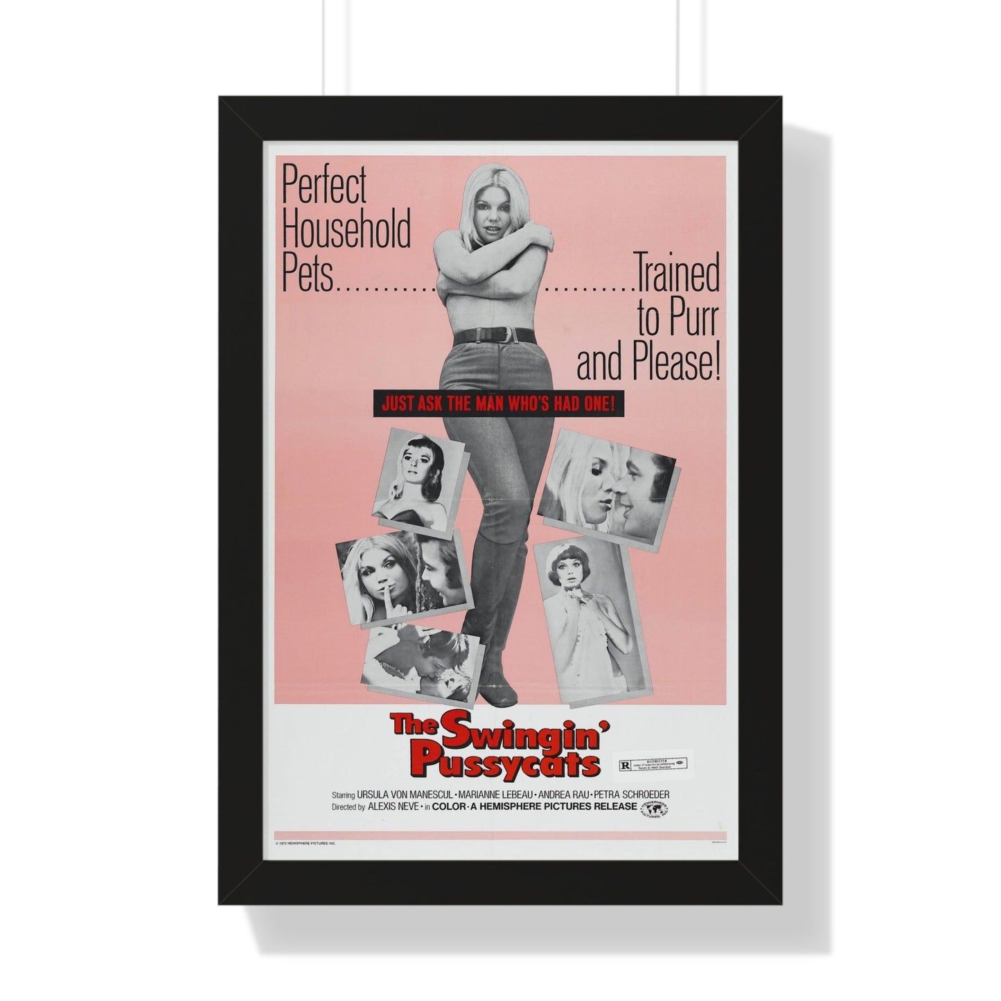 THE SWINGIN' PUSSYCATS 1969 - Framed Movie Poster-16″ x 24″-The Sticker Space