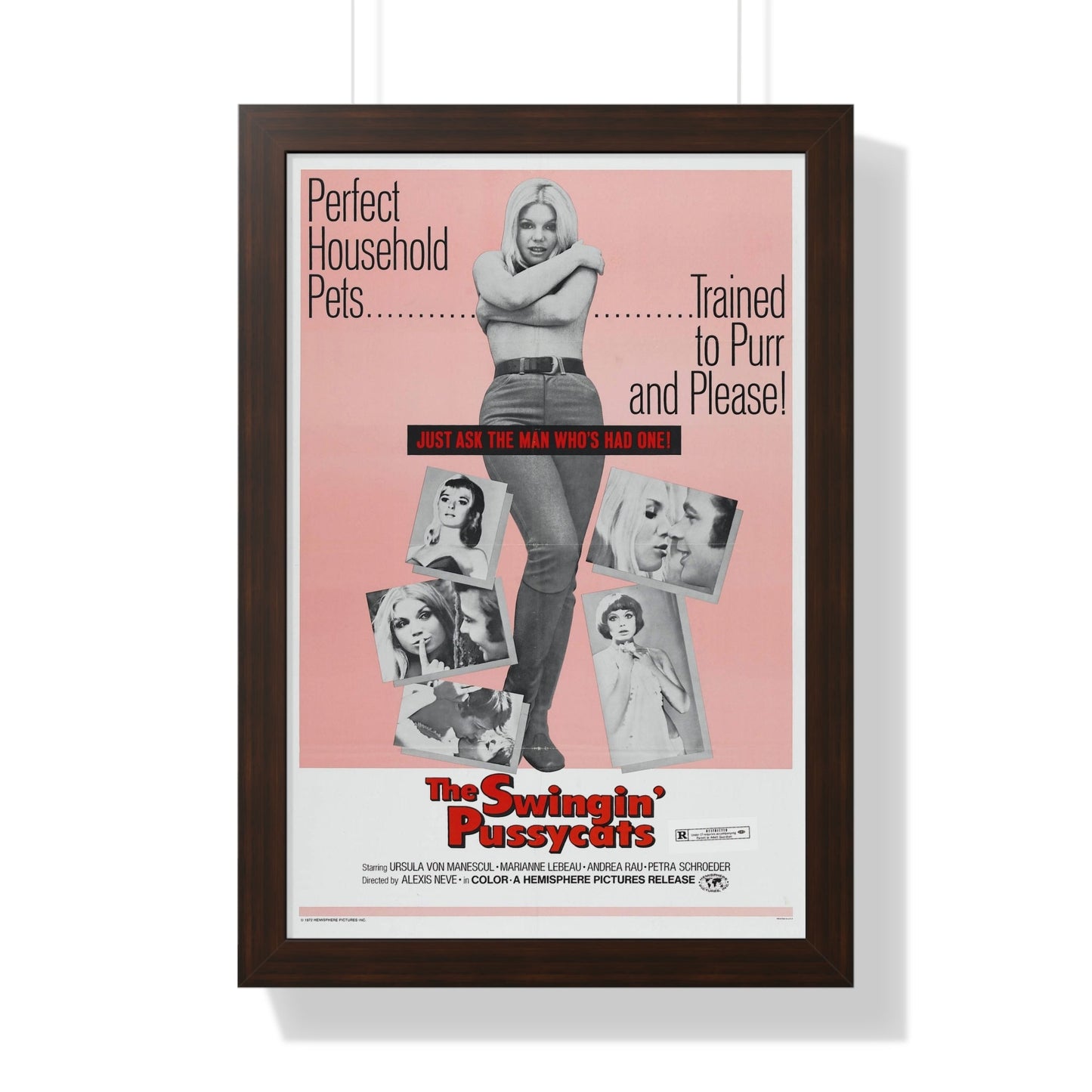 THE SWINGIN' PUSSYCATS 1969 - Framed Movie Poster-16″ x 24″-The Sticker Space